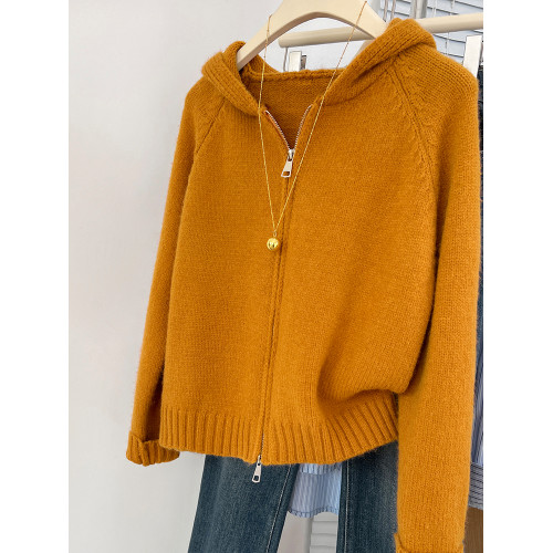 設計感拉鍊連帽開衫毛衣外套女秋冬慵懶風寬松外穿針織衫連帽上衣