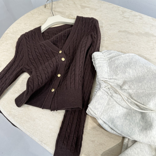 秋冬季V領麻花修身顯瘦針織開衫曡穿內搭絞花上衣短外套2025新款