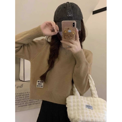 秋冬季短款小個子內搭毛衣女加厚寬松時尚新款百搭針織打底衫上衣