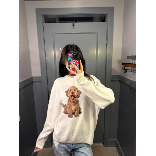 趣味可愛小狗提花套頭毛衣女設計感秋冬季新款韓系軟糯針織衫上衣