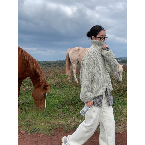 Up and on 街頭韓版慵嬾麻花紋高領寬鬆針織毛衣休閒百搭拉鍊外套