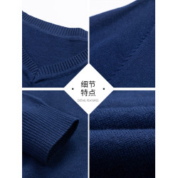 羅矇針織衫男士秋季新款青年商務休閒百搭長袖V領套頭毛衣打底衫