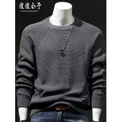 2025年秋季圓領純棉毛衣男秋冬款保暖內搭針織打底衫男士加厚線衣