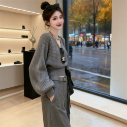 灰色V領收腰短款毛衣女春季高級感韓系慵懶顯瘦針織衫內搭小上衣