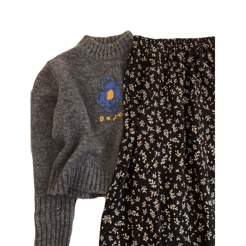 爆炸好看~上身不挑人！日系復古立領花朵短款毛衣女秋冬針織上衣