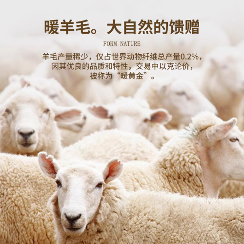 加絨羊毛毛衣男秋冬一體絨羊毛衫加厚線衣內搭德絨打底圓領針織衫 加絨羊毛毛衣男秋冬一體絨羊毛衫加厚線衣內搭德絨打底圓領針織衫