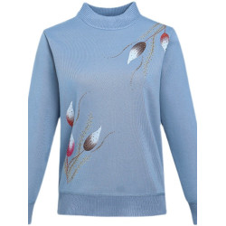 媽媽秋冬裝加絨加厚打底衫寬松大碼中老年人冬季保暖毛衣女上衣服