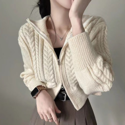韓國chic秋冬復古麻花紋氣質雙拉鍊翻領短款毛衣外套女針織開衫潮