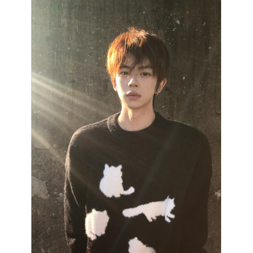 cleanfit黑色貓咪毛衣男春秋美式潮牌馬海毛針織衫高級感慵懶外套 cleanfit黑色貓咪毛衣男春秋美式潮牌馬海毛針織衫高級感慵懶外套