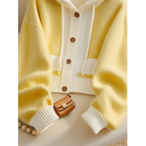 早秋穿搭寬松慵懶高級感上衣女新款獨特絕美超好看黃色連帽毛衣女