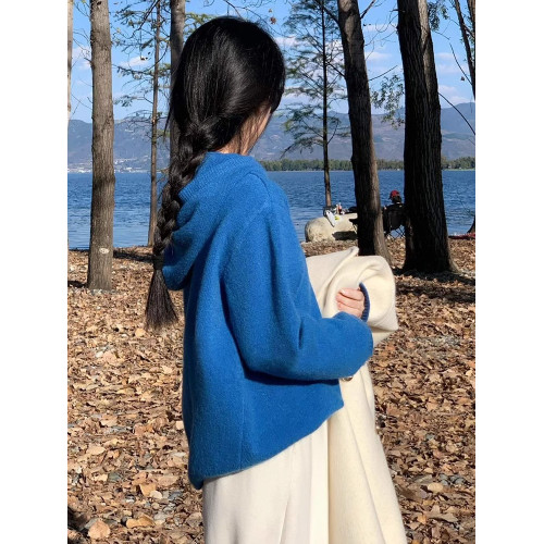克萊因藍色連帽毛衣女深秋初冬季穿搭2025新款慵懶高級感針織上衣