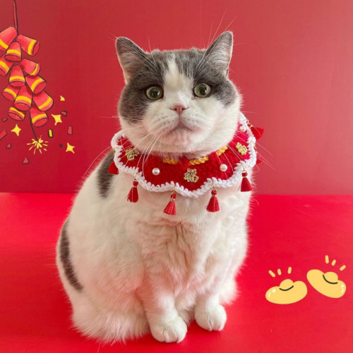 寵物新年圍脖福字修狗貓咪秋冬衣服可愛圍兜小貓口水巾貓貓項圈 寵物新年圍脖福字修狗貓咪秋冬衣服可愛圍兜小貓口水巾貓貓項圈