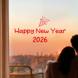 新款過年窗花福字門貼靜電玻璃貼2026新年裝飾品馬年春節氛圍貼紙