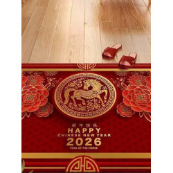 2026紅色地毯進門入戶門地墊防滑浴室吸水墊厠所客廳廚房水晶絨