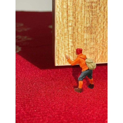 2026馬年入戶門地墊紅色喜慶水晶絨地墊新年進門防滑腳墊