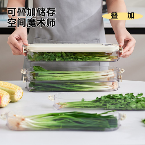 小蔥香菜保鮮盒冰箱收納盒食品級冰箱瀝水蔥薑蒜收納盒專用整理盒