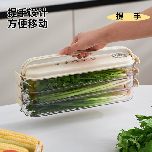 小蔥香菜保鮮盒冰箱收納盒食品級冰箱瀝水蔥薑蒜收納盒專用整理盒