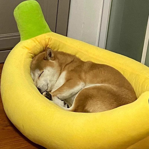 香蕉船窩狗窩冬季保暖冬天墊子半封閉式安全感泰迪狗貓窩流浪貓