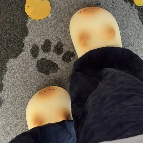 貓咪拖鞋冬季可愛保暖鞋窩可外出防水毛絨棉拖卡通厚底包頭家居鞋