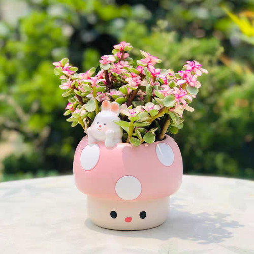多肉可愛花盆粉紅色蘑菇兔子熊貓貓咪幼兒園辦公室盆栽桌面擺件