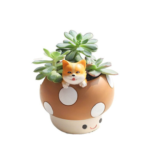卡通蘑菇小兔柯基趣味園藝樹脂花盆創意工位桌面多肉盆栽裝飾花盆