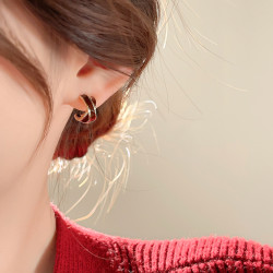 紅色氣質大氣交叉耳釘女2026新款爆款耳環輕奢高級感小衆設計耳飾