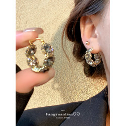 【方圓臉】精緻輕奢水晶耳環2025新款高級感耳釘女設計感耳圈耳飾