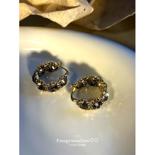 【方圓臉】精緻輕奢水晶耳環2025新款高級感耳釘女設計感耳圈耳飾