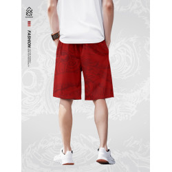 2025夏季新款國潮醒獅速乾短褲男風寬鬆薄款運動沙灘五分褲子