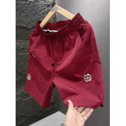 男士休閒短褲夏季潮牌寬鬆速乾大褲衩子2025新款五分沙灘褲男歐貨