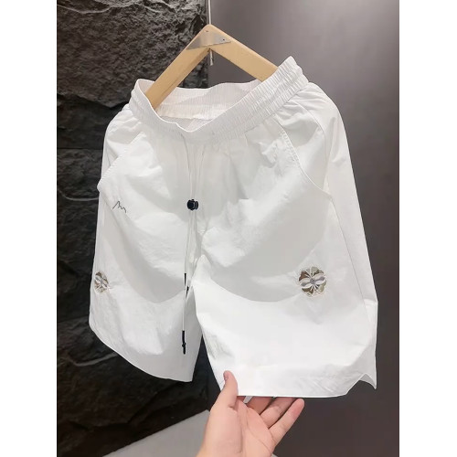 男士休閒短褲夏季潮牌寬鬆速乾大褲衩子2025新款五分沙灘褲男歐貨