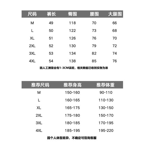 WASSUP PALM籃球短褲男2025新款夏季運動寬鬆休閒跑步速乾五分褲