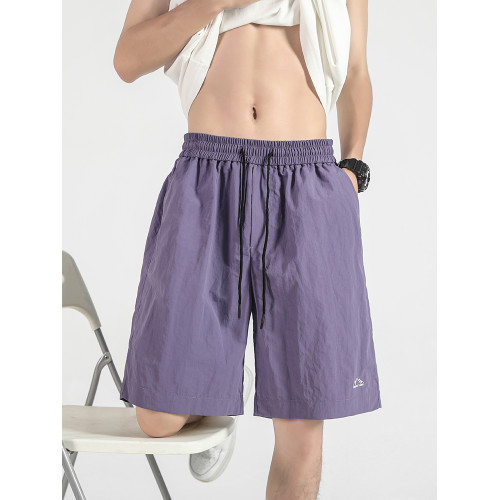 wassupdeion多巴胺夏季薄款五分褲男紫色潮牌速乾寬鬆情侶沙灘褲