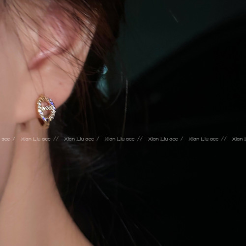 小巧精緻豬鼻子耳環2025新款爆款高級感輕奢耳釘耳釦女圈圈耳飾