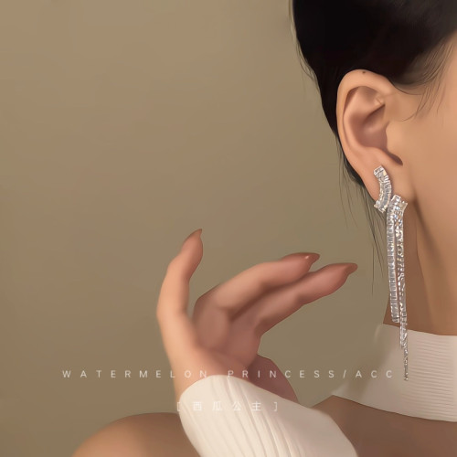 「晚宴名流」超閃鋯石耳環女高級感輕奢流蘇禮服宴會獨特漂亮耳飾