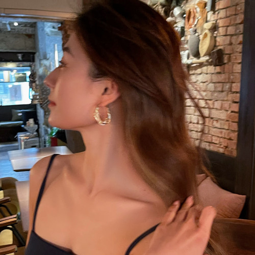 網狀水晶獨特耳圈耳環女2026新款爆款高級感輕奢圈圈耳釘耳釦耳飾