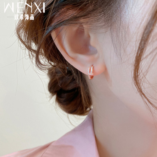 輕奢小衆玫瑰金氣質耳環2026新款爆款獨特耳釦耳圈耳釘高級耳飾女