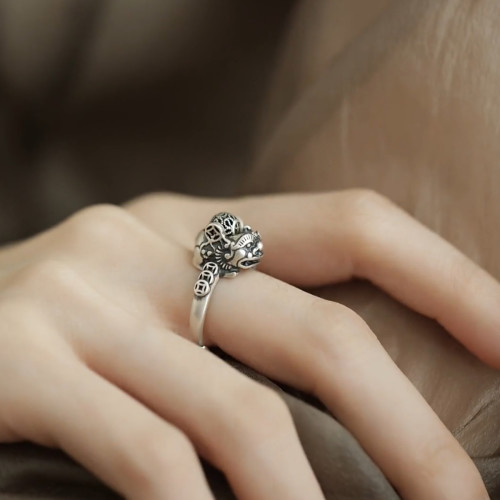 銅錢貔貅S925銀戒指女士設計感小衆復古做舊國風招財轉運活口指環