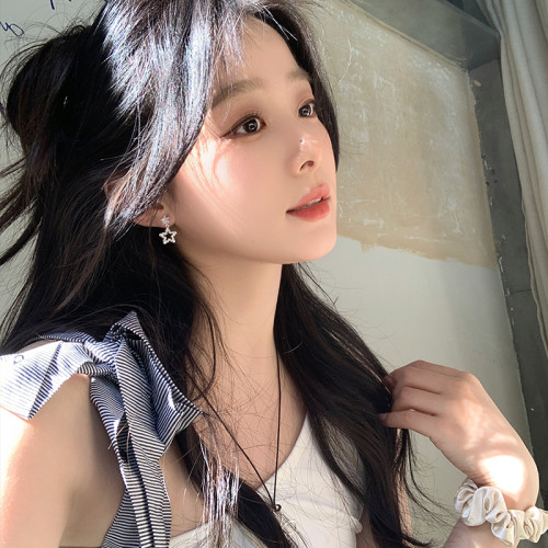 韓系爆閃鋯石簡約精緻星星耳釘女輕奢高級感耳環氣質大氣耳飾耳夾 韓系爆閃鋯石簡約精緻星星耳釘女輕奢高級感耳環氣質大氣耳飾耳夾