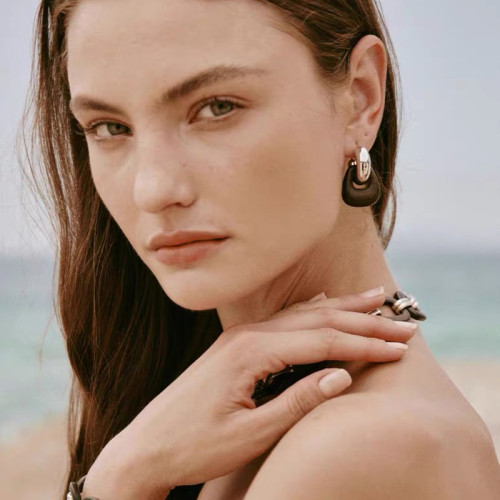 豆豆同款天然黑檀木耳環設計師復古高級感檀韻耳釘S925銀針耳飾女