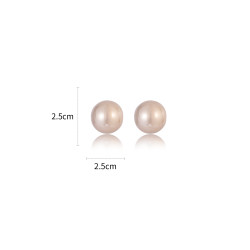 極簡設計咬口珍珠耳釘女2026年秋冬新款爆款氣質簡約百搭耳環耳飾