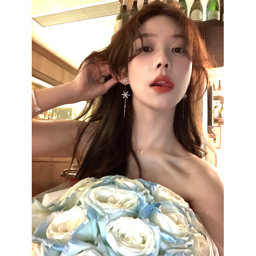 韓系閃鋯雪花流蘇耳環女輕奢小衆高級感耳釘超仙絕美巨好看耳飾