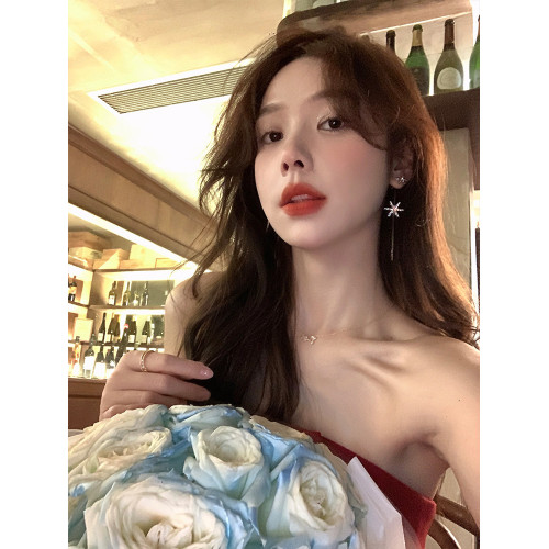 韓系閃鋯雪花流蘇耳環女輕奢小衆高級感耳釘超仙絕美巨好看耳飾