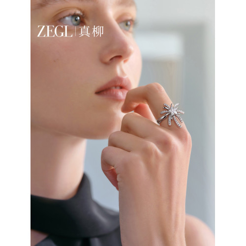 ZEGL設計師火樹銀花系列戒指女小衆日常高級感菸花新款春夏食指環