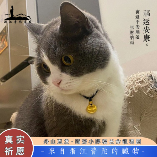 普陀山妙海長命富貴鎖寵物項圈貓咪狗狗項鍊手編可調節小型犬吊墜