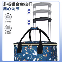 購物小拉車家用買菜車手提購物袋可伸縮拉桿小推車折曡手拉車