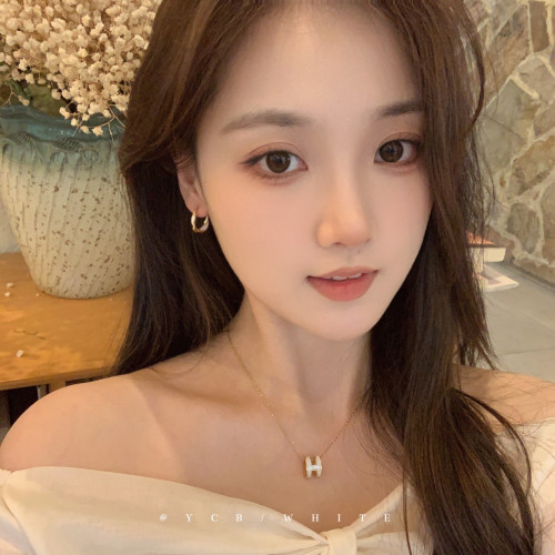 「白月光」輕奢氣質高級感h字母項鍊小衆設計感鎖骨鍊不掉色頸鏈