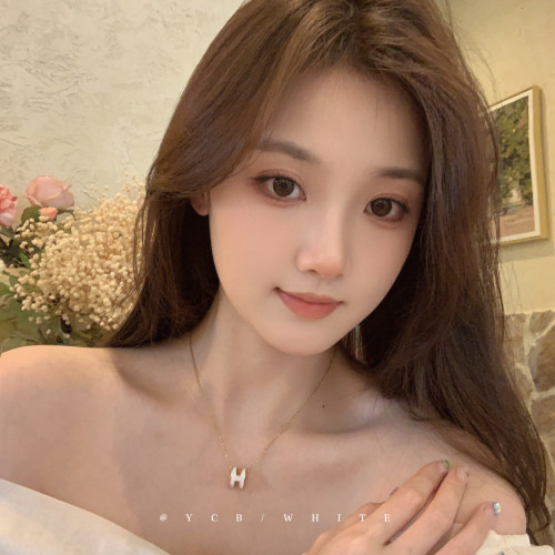 「白月光」輕奢氣質高級感h字母項鍊小衆設計感鎖骨鍊不掉色頸鏈