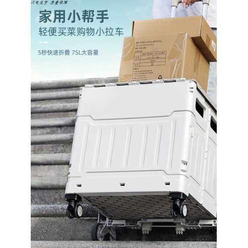 兒童輪滑鞋霤冰鞋專用收納箱滑冰鞋折曡包輪滑箱可坐帶拉桿旅行袋