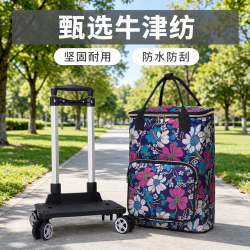 買菜拉桿車家用折疊購物小拉車牛津紡手提大容量買保溫包省力